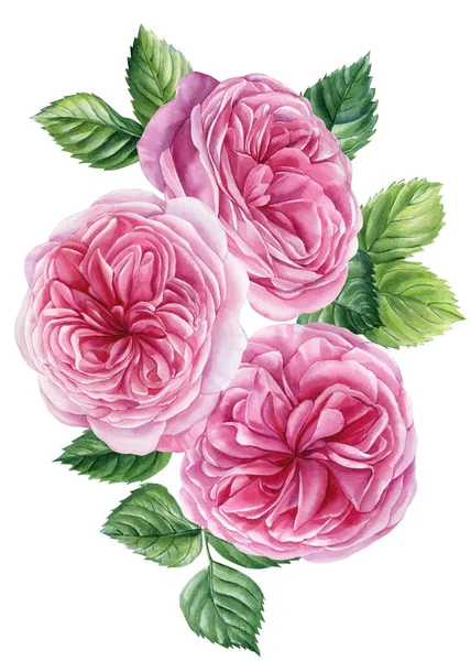 Strauß Rosen Blumen Isoliert Auf Weißem Hintergrund Aquarell Blumiger Clipart — Stockfoto