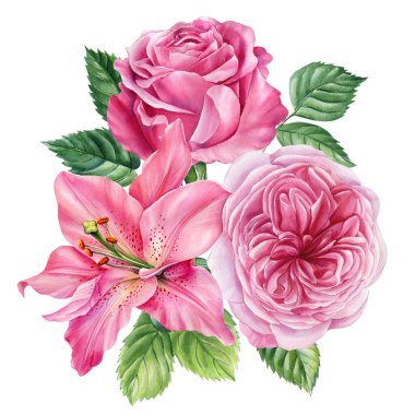 Gül buketi, beyaz arka planda izole edilmiş zambaklar. Tebrik kartları için suluboya çiçek, düğün davetiyeleri. Yüksek kaliteli illüstrasyon