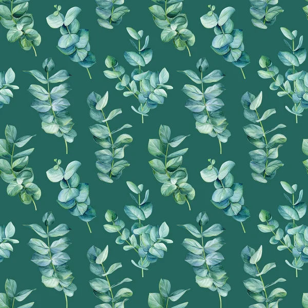 Sömlösa Mönster Eukalyptusblad Isolerad Grön Bakgrund Akvarellmålning Högkvalitativ Illustration — Stockfoto
