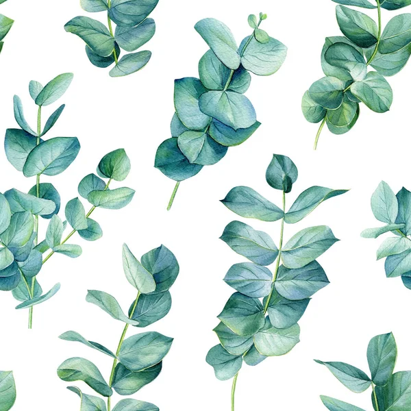 Płynne Wzory Gałęzi Eukaliptusa Zielone Liście Odosobnionym Tle Akwarelowa Flora — Zdjęcie stockowe