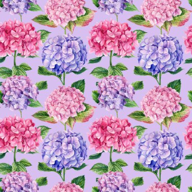 Ortanca çiçeğinin kusursuz dalları ve izole bir arkaplanda yapraklar. Suluboya çiçekler. Yüksek kaliteli illüstrasyon