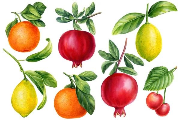 Definir Frutas Maduras Laranja Cereja Doce Romãs Limão Pintura Botânica — Fotografia de Stock