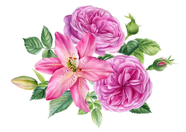Lys Fleurs Roses Sur Fond Blanc Aquarelle Illustration Botanique Illustration — Photo