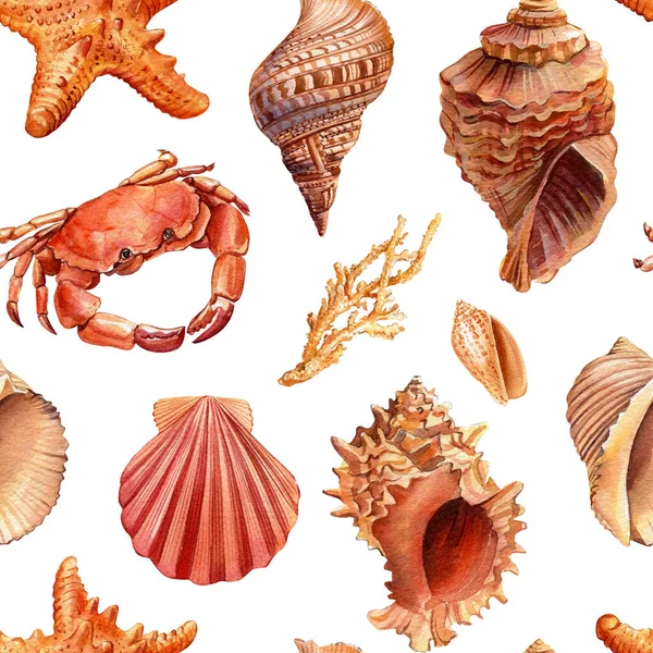 Seamless Watercolor Pattern Sea Shells Hand Drawn Vintage Sketch Elements — ストック写真