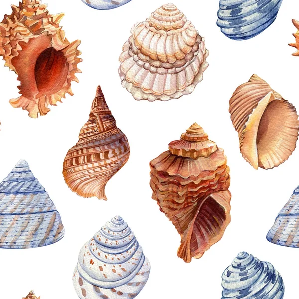 Padrão Sem Costura Com Conchas Watercolor Mão Desenhada Fundo Mar — Fotografia de Stock