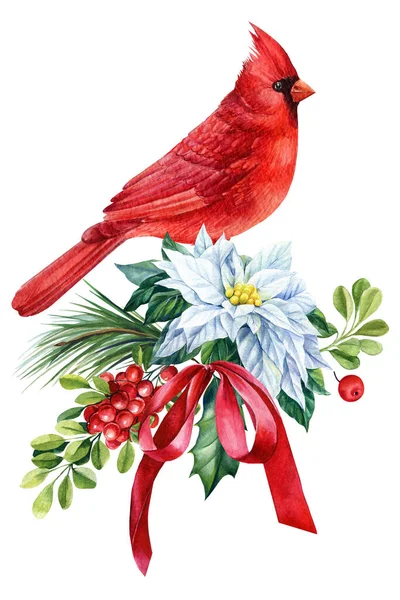 Winter Bird Red Cardinal Branch Watercolor White Isolated Background Holiday —  Fotos de Stock