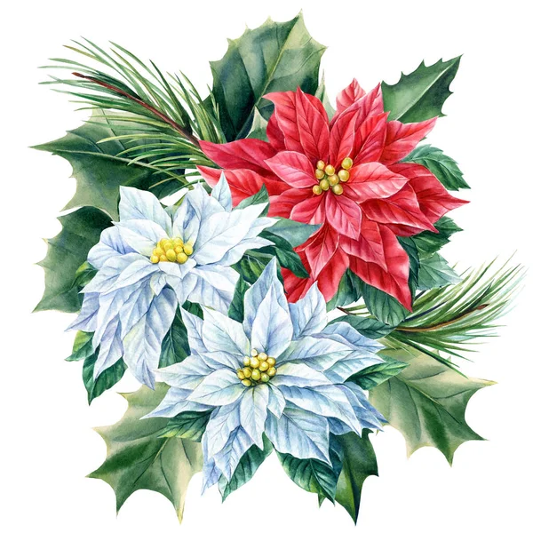 Téli Virágok Egy Akvarell Fehér Elszigetelt Háttér Nyaralás Kártya Kiváló — Stock Fotó