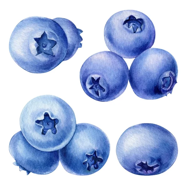 Blueberries Isolated White Background Watercolor Hand Drawn Berries High Quality — Foto de Stock
