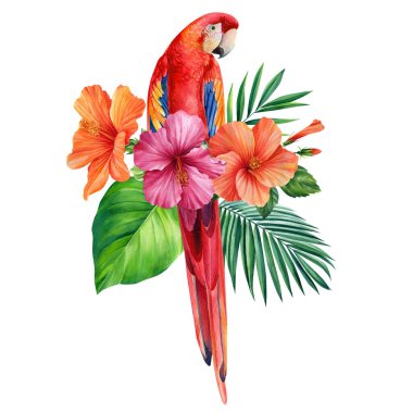 Tropical leaves, hibiscus flower and macaw parrot, isolated white background, watercolor painting, jungle design. High quality illustration