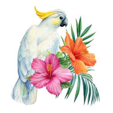 White parrot. Palm leaves, hibiscus flower and tropical bird, isolated white background, watercolor painting, jungle design. High quality illustration