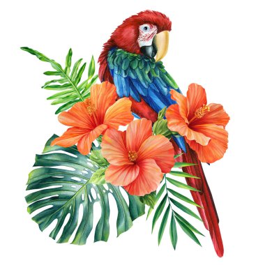 Tropical palm leaves, hibiscus flower and parrot, isolated white background, watercolor painting, jungle design. High quality illustration
