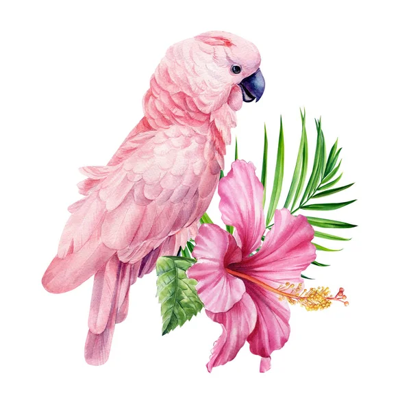 Tropical Palm Leaves Hibiscus Flower Pink Cockatoo Parrot Isolated White — 图库照片