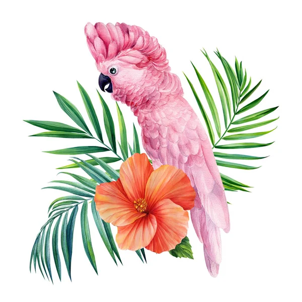 Tropical Palm Leaves Hibiscus Flower Pink Cockatoo Parrot Isolated White — Foto Stock