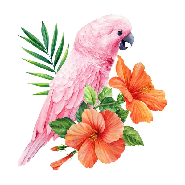 Tropical Palm Leaves Hibiscus Flower Pink Cockatoo Parrot Isolated White — Foto de Stock