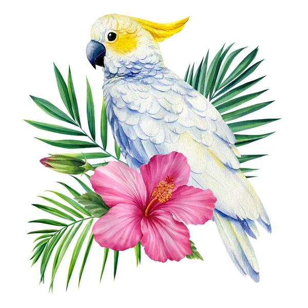 Papagaio Branco Folhas Palma Flor Hibisco Pássaro Tropical Fundo Branco — Fotografia de Stock