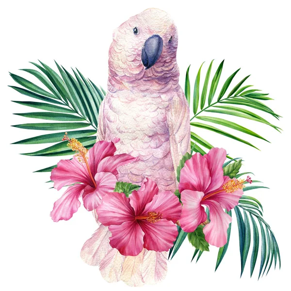 Cockatoo Tropical Leaves Hibiscus Flower Parrot Isolated White Background Watercolor — Foto Stock