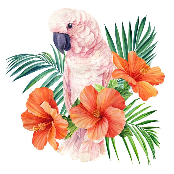 Cockatoo Foglie Tropicali Fiore Ibisco Pappagallo Sfondo Bianco Isolato Pittura — Foto Stock