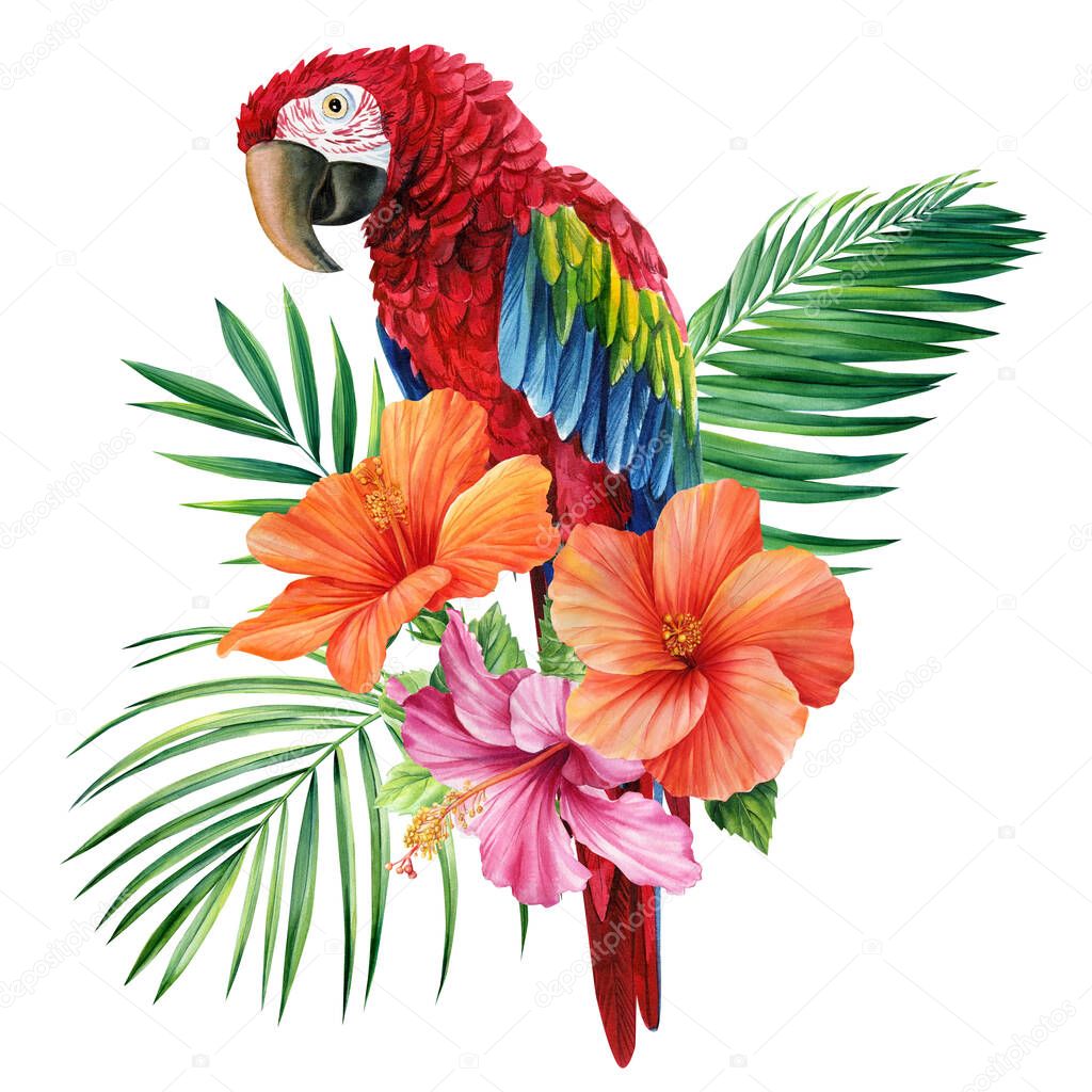 Tropical arrangement with leaves, flowers and bird, red parrot isolated white background, watercolor jungle design. High quality illustration