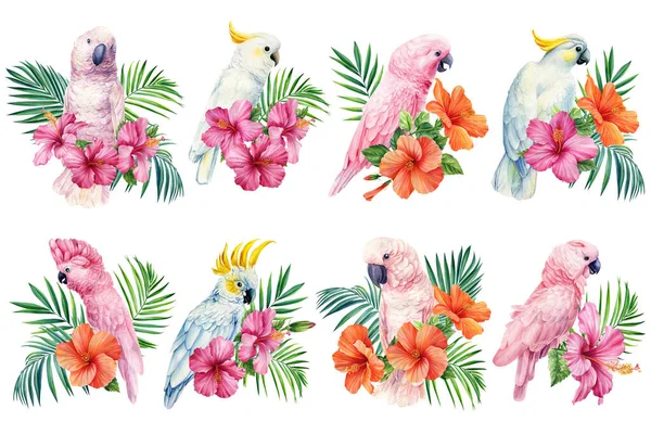 Set Cockatoo Tropical Leaves Hibiscus Flower Parrot Isolated White Background — 图库照片