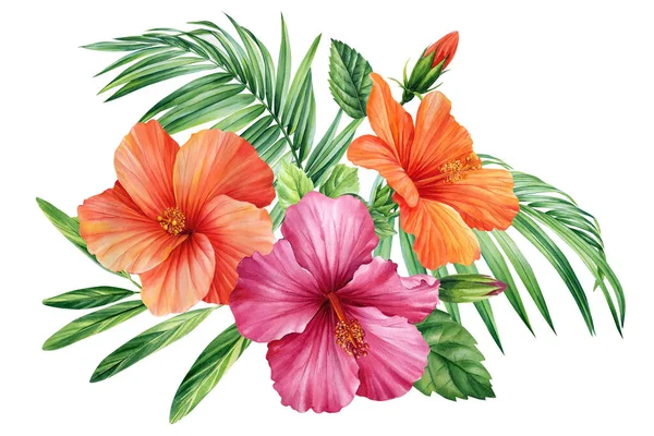 hibiscus flowers painted in watercolor, on an isolated white background, botanical illustration, tropical palm leaves. High quality illustration