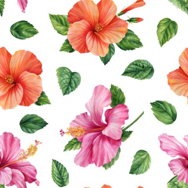 Hibiscus çiçekleri, suluboya çiçekleri. Kusursuz desenler. Yüksek kaliteli illüstrasyon