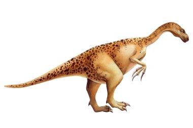 Beyaz arka planda izole edilmiş suluboya gerçekçi dinozor. Elle boyanmış dinozorlar çizimi. Yüksek kaliteli illüstrasyon