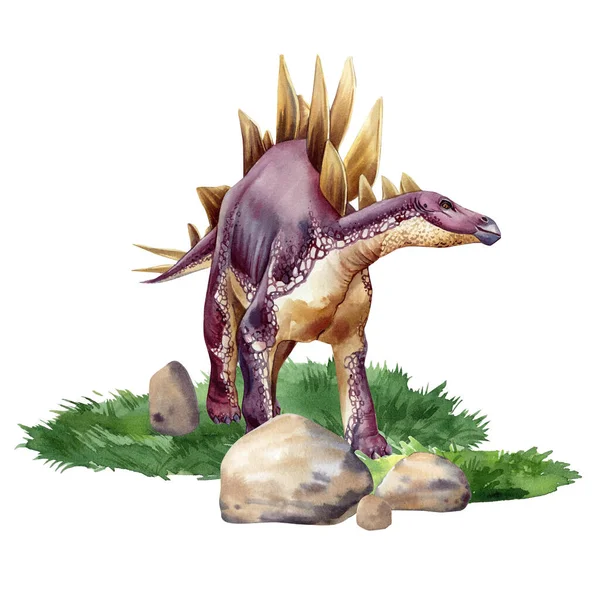 Watercolor Dinosaur Isolated White Background Stegosaurus Illustration Dinosaur Landscape High — Stock Fotó