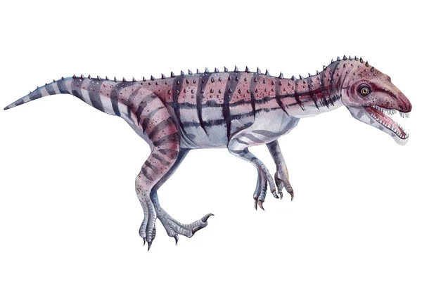 Dinosaur Isolated White Background Watercolor Dinosaurs Illustration High Quality Illustration — Stock Fotó
