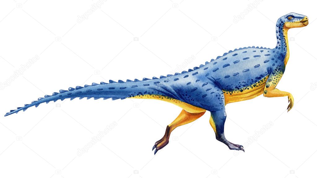 Dinosaur isolated on white background. Watercolor Dinosaurs illustration. High quality illustration