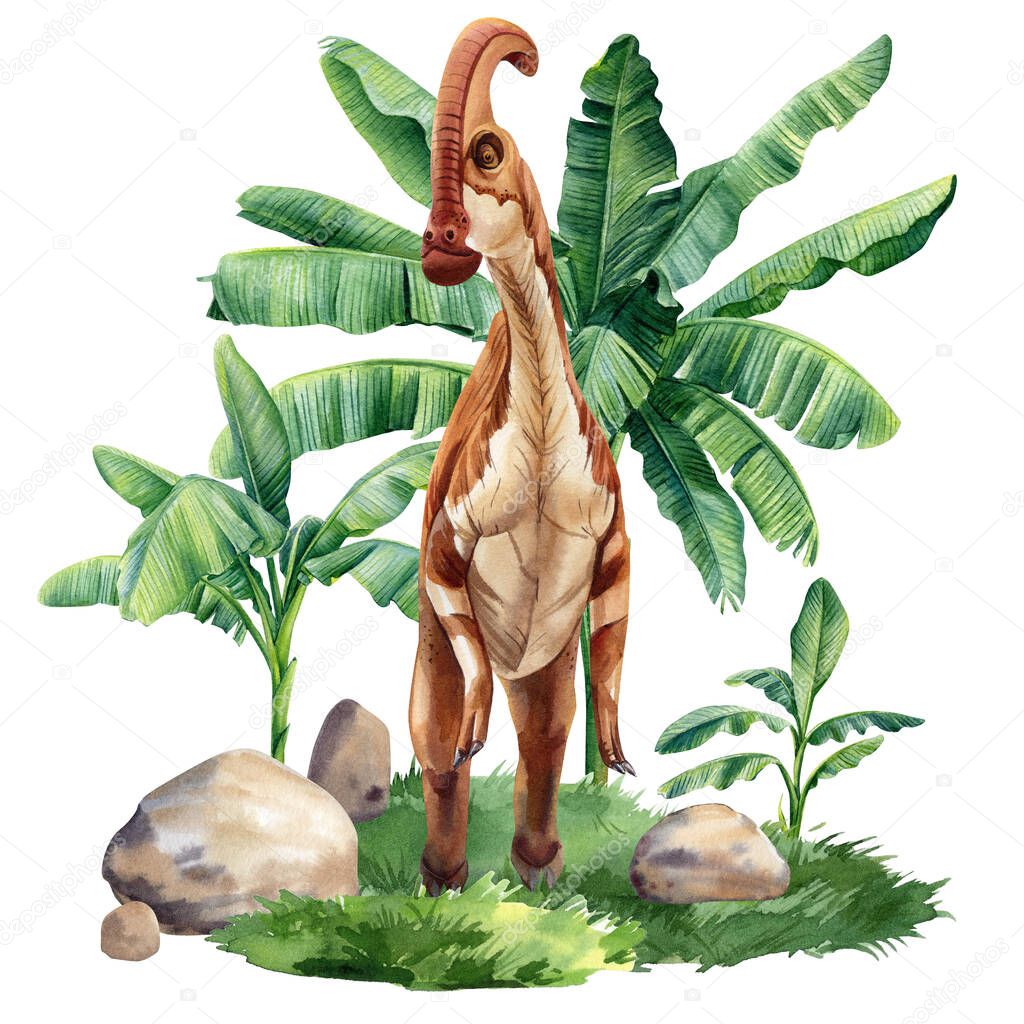 Watercolor dinosaur isolated on white background. Dinosaur on landscape with nature palm trees . High quality illustration