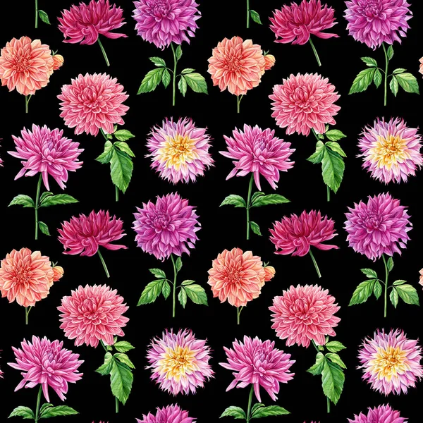 Dahlia Flowers Seamless Pattern Vintage Flowers Botanical Floral Background High — 스톡 사진