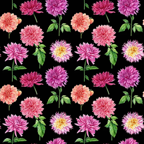 Dahlia Flowers Seamless Pattern Vintage Flowers Botanical Floral Background High —  Fotos de Stock