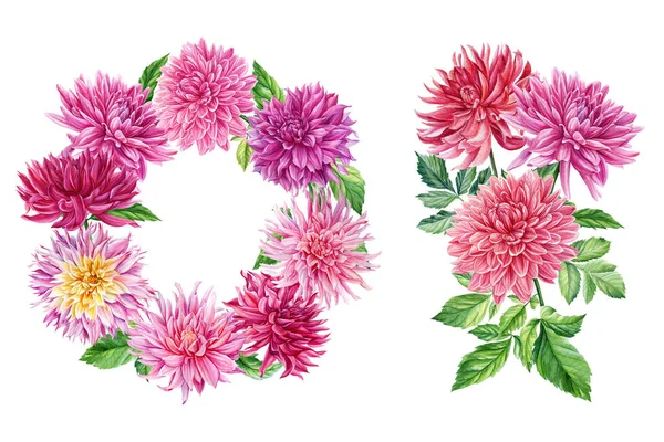 Dahlias Set Botanical Drawings White Isolated Background Wreath Flowers High — Φωτογραφία Αρχείου