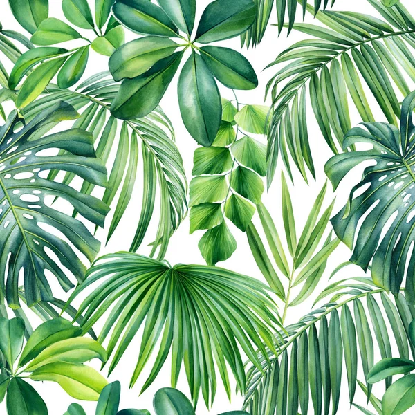 Green Palm Leaves White Background Watercolor Botanical Floral Seamless Patterns — Zdjęcie stockowe