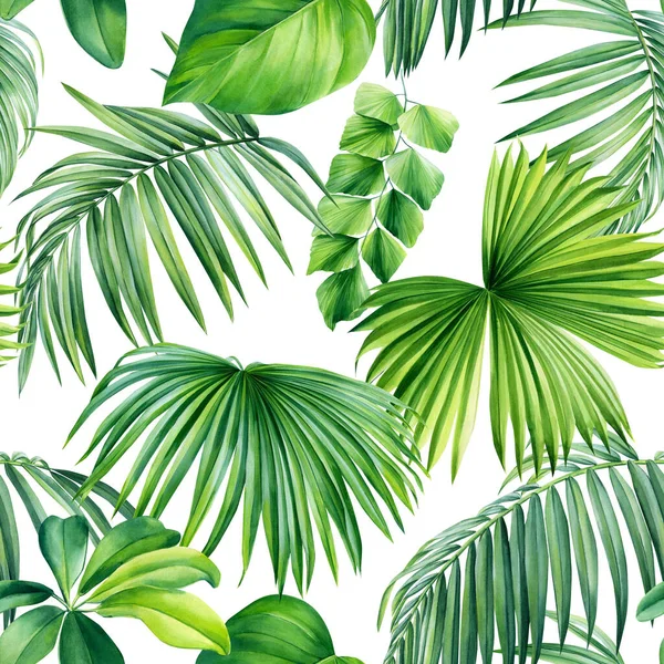 Green Palm Leaves White Background Watercolor Botanical Floral Seamless Patterns — Stock Photo, Image