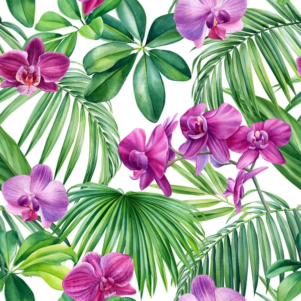 Palm Leaves Tropical Flowers Orchid Hibiscus White Background Watercolor Botanical — Stockfoto