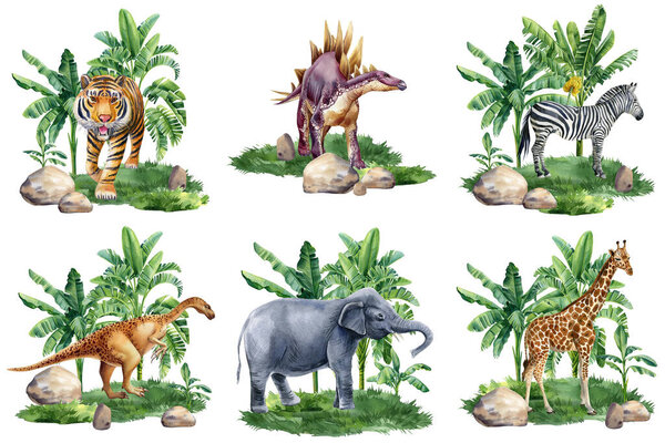 Tropical forest and tiger, elephant, zebra, giraffe and dinosaur. Watercolor Palm trees, jungle illustration. High quality illustration