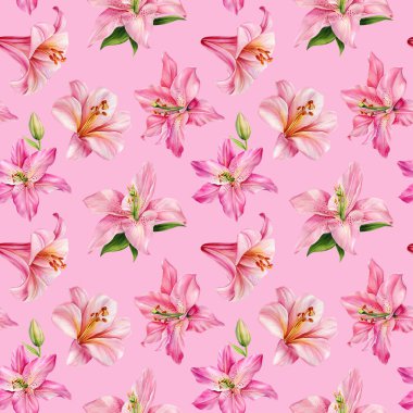 Çiçeksiz desen. El çizimi zambak, pembe arka planda suluboya flora. Yüksek kaliteli illüstrasyon