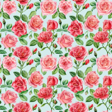 Kusursuz suluboya çiçek deseni. Gül çiçeği, pembe allık çiçekleri. Yüksek kaliteli illüstrasyon