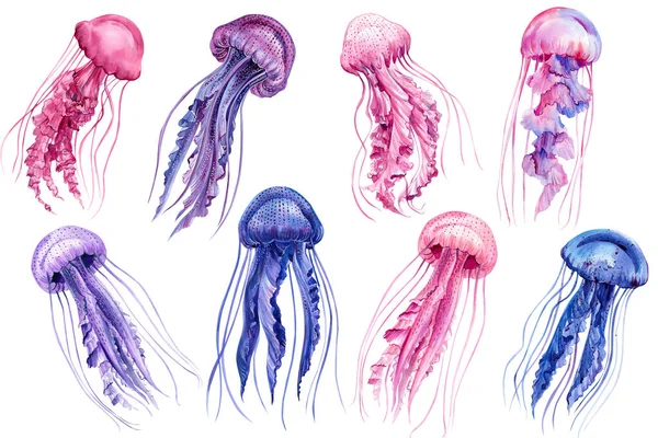 Jellyfish Set Isolated White Background Watercolor Illustration Hand Drawn High — ストック写真
