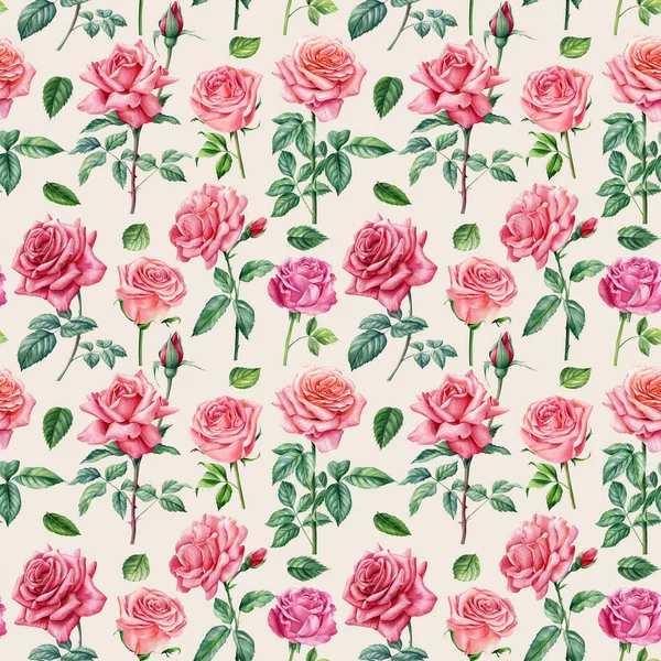 Vintage Seamless Pattern Roses Flower Watercolor Flora Design High Quality — Stock Photo, Image