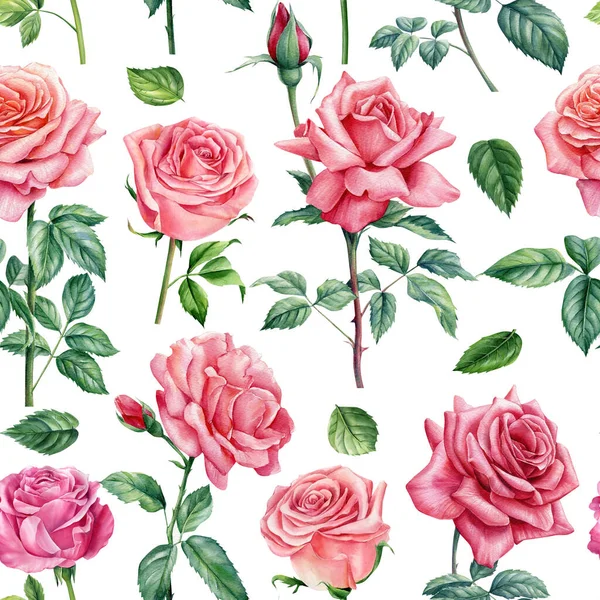 Flower Seamless Pattern Roses Watercolor Flora Illustration High Quality Illustration — Stock Photo, Image