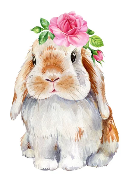 Bunny Rose Flowers White Background Animal Illustration Poster Cute Rabbit — Φωτογραφία Αρχείου