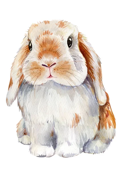 Bunny Isolated White Background Illustration Bunny Painted Watercolor High Quality — Photo