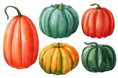 Set of pumpkins on isolated white background, watercolor autumn vegetable. High quality illustration