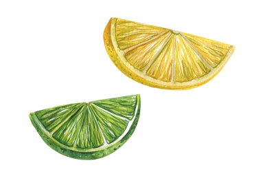 lime wedges and lemon on isolated white background, watercolor illustration. High quality illustration