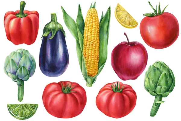 Set Vegetables Isolated White Background Watercolor Illustration Autumn Harvest High —  Fotos de Stock