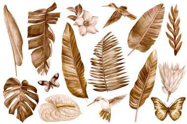 Tropical dry palm leaves and flowers on isolated white background, watercolor illustration, autumn design brown flora. High quality illustration