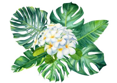 bouquet tropical palm leaves and flowers on isolated white background, watercolor illustration, jungle design. High quality illustration