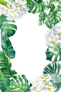 Frame from palm leaves and flowers on isolated white background, watercolor tropical design. High quality illustration